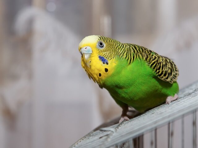    Фото: depositphotos/Anry01