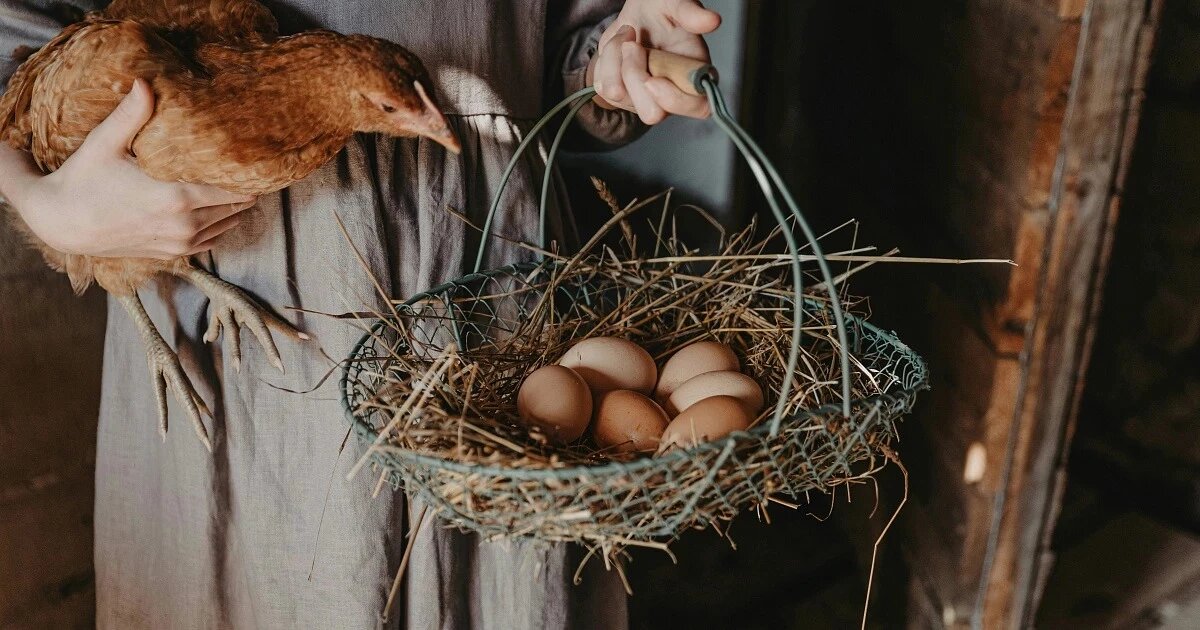 Фото: Anita Austvika / Unsplash