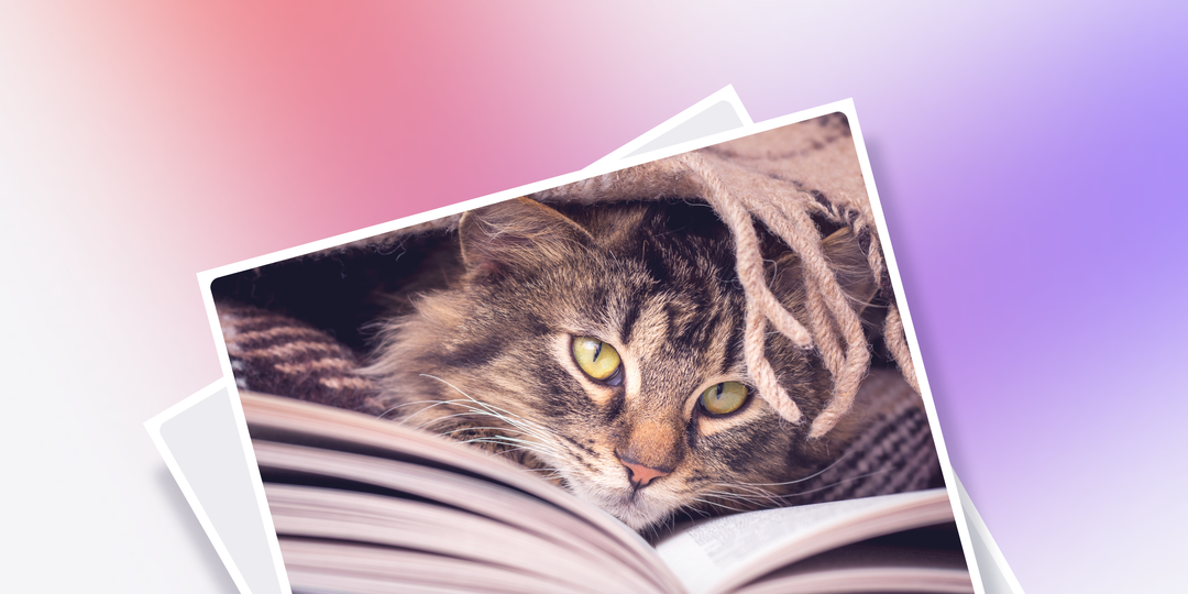 Идиомы в английском языке