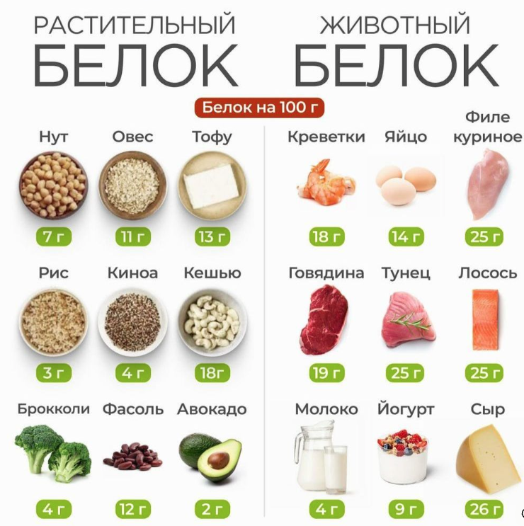 Источники растительного и животного белка