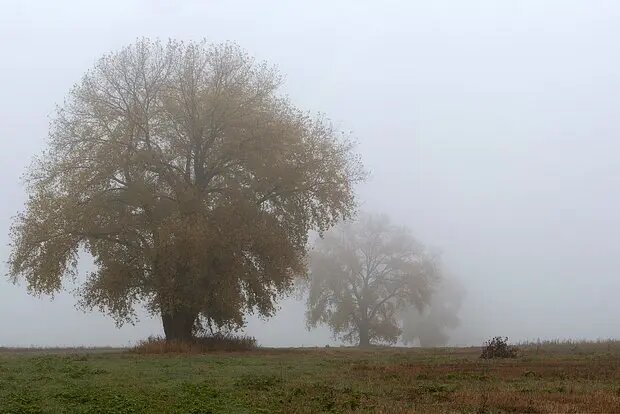    Фото: lenta.ru Павел Евсеев