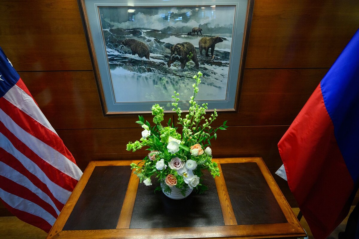     / Источник: © Global Look Press