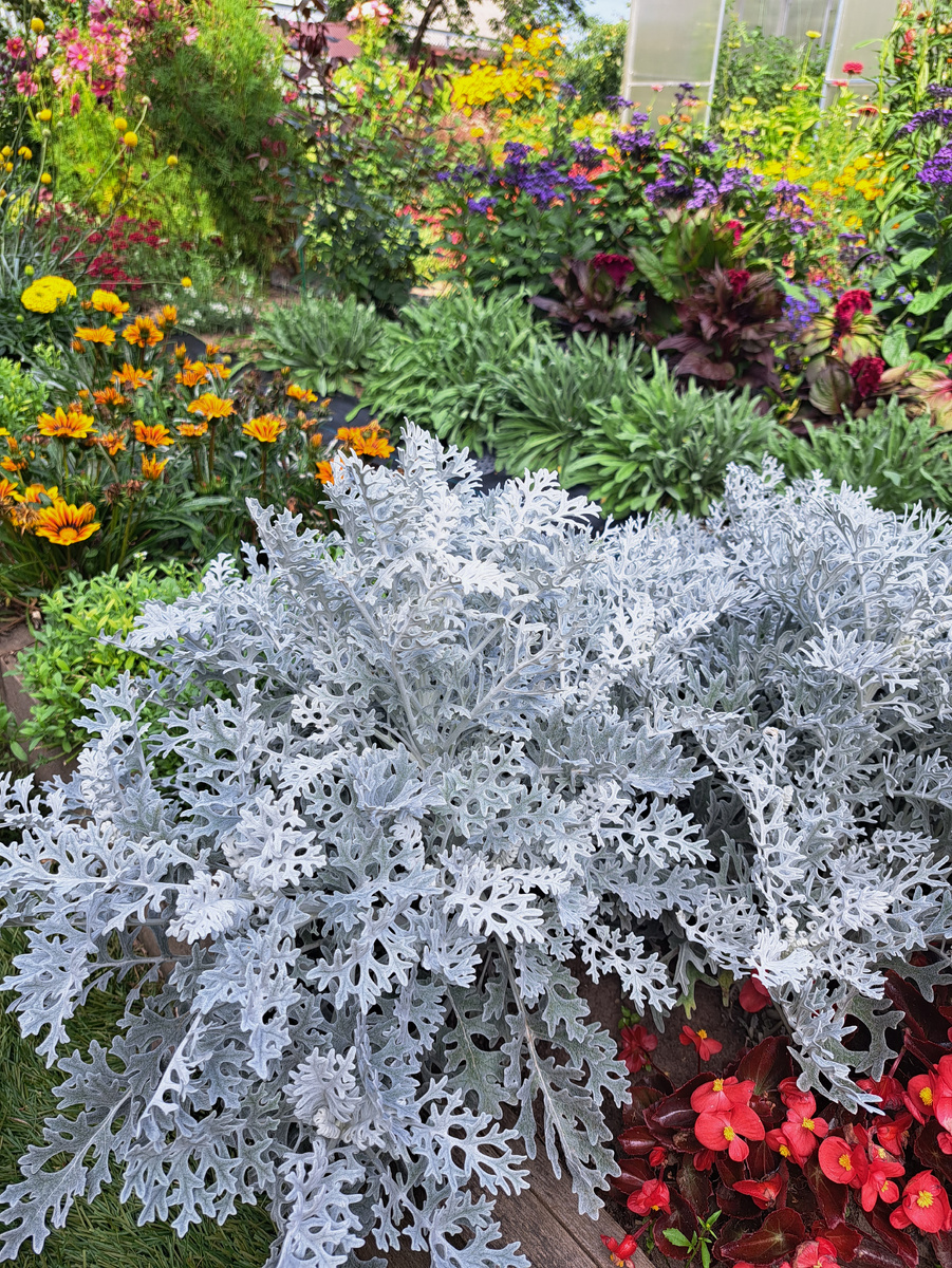 Яркий бордюр –Главный секрет в выборе