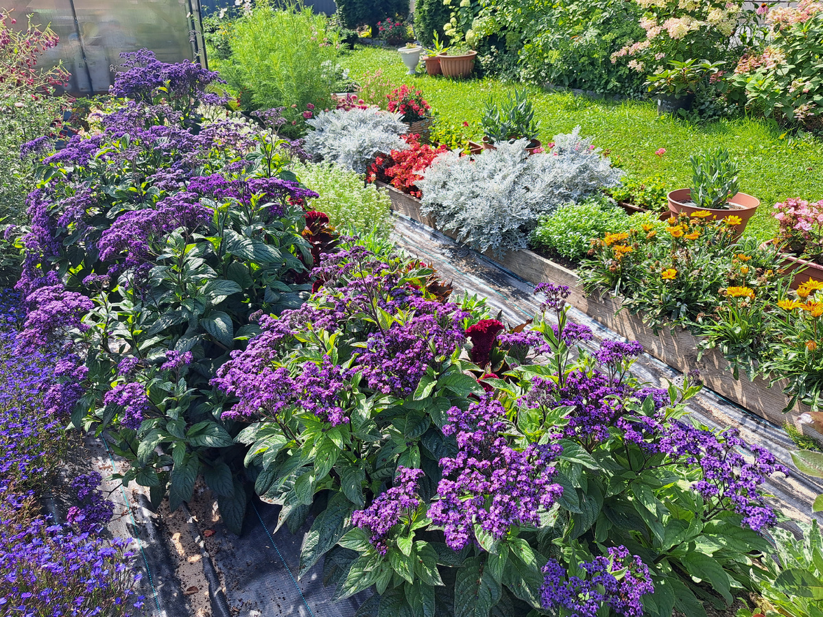 Яркий бордюр –Главный секрет в выборе