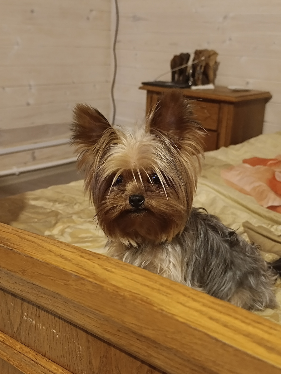 Бусёна наша после сна.