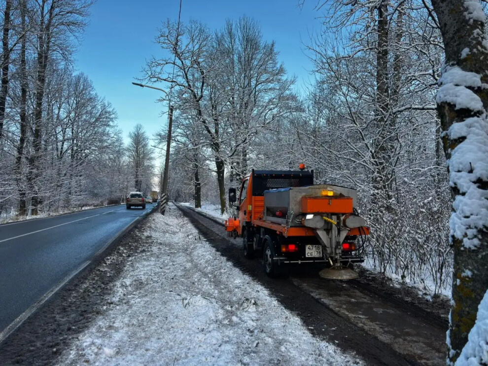 Фото: пресс-служба комитета по благоустройству Петербурга.