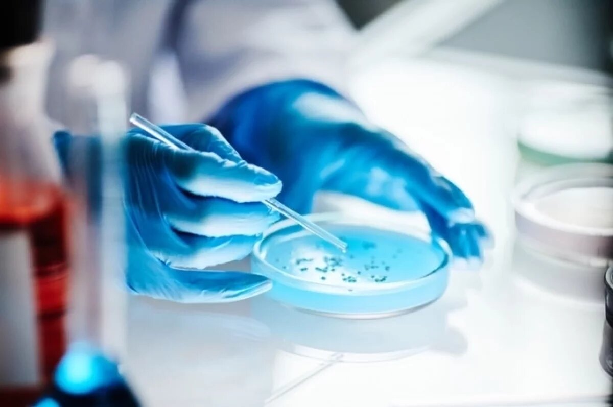    Что способствует росту антимикробной резистентности, рассказали псковичам