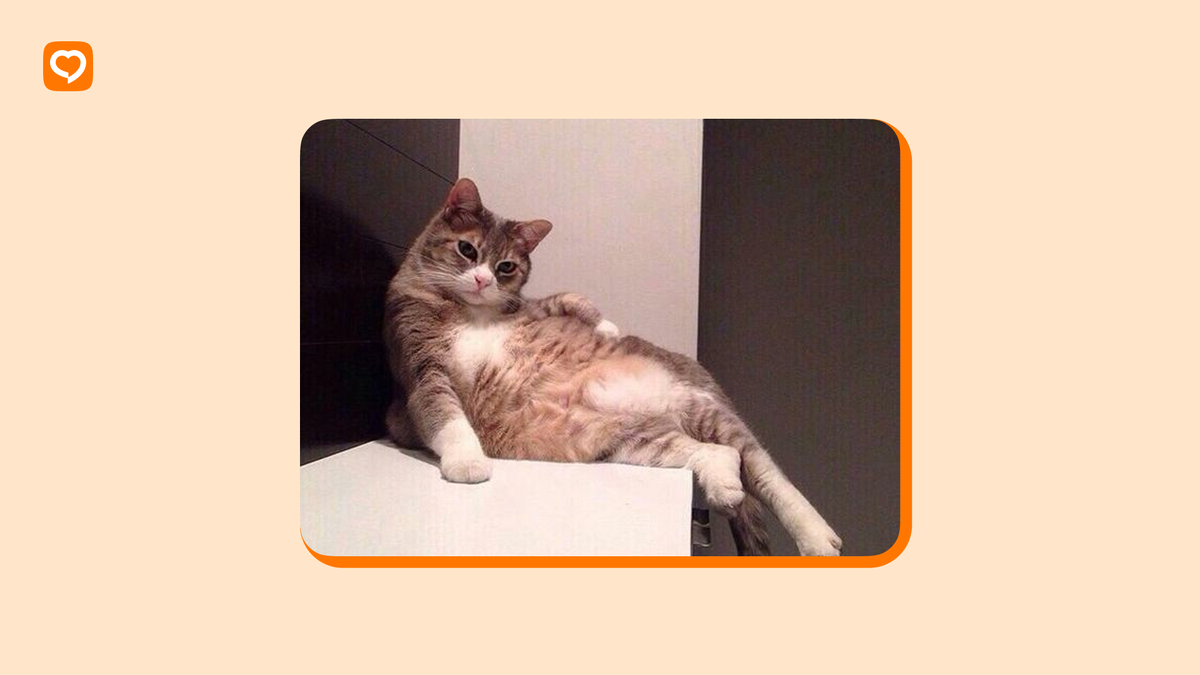 Уверенная поза — важный элемент общения