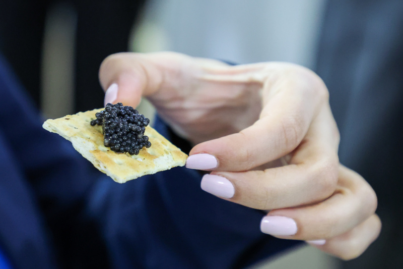    Фото: Belkin Alexey/globallookpress