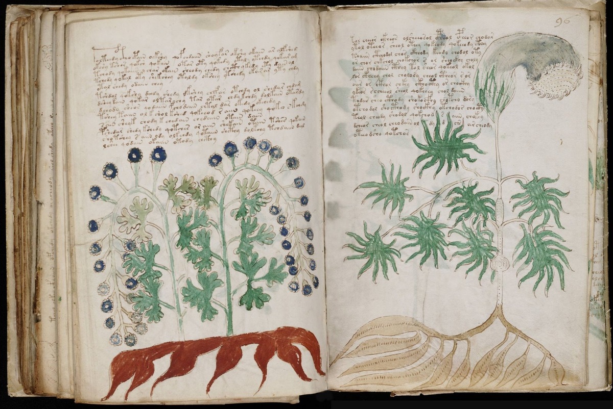 Рукопись Войнича (манускрипт Войнича) — иллюстрированный кодекс, написанный неизвестным автором на неизвестном языке с использованием неизвестного алфавита. 