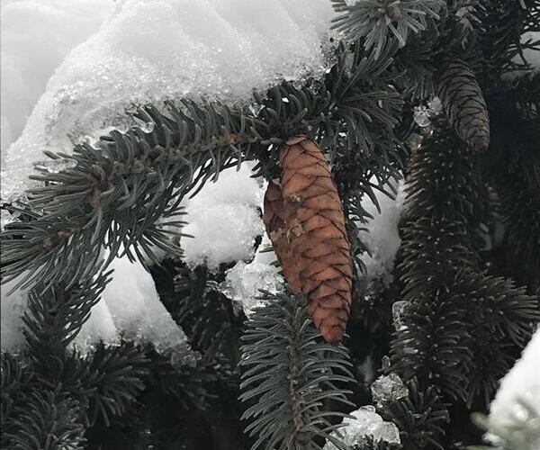    Фото Екатерины Молчановой admin