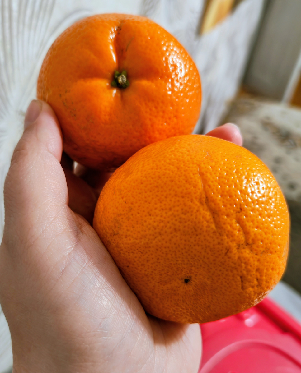 Личное фото автора канала