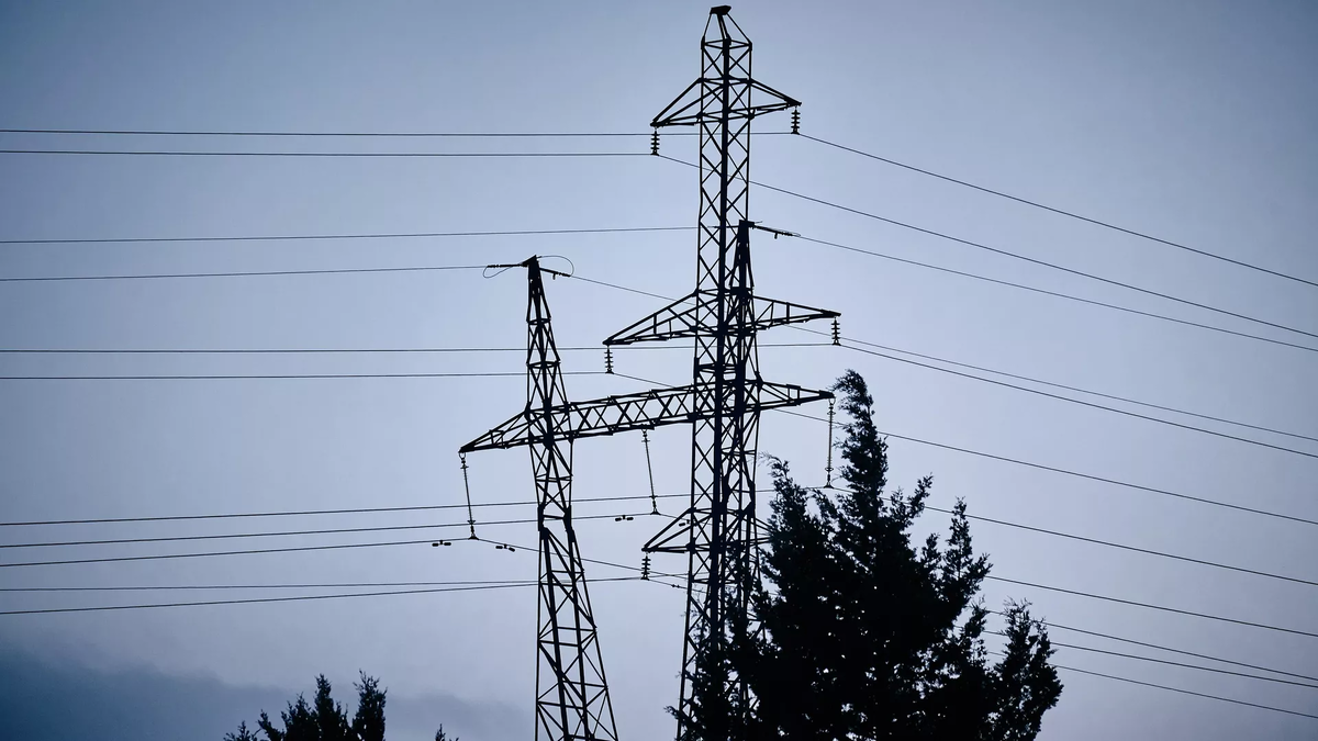 © photo: Sputnik / Stringer