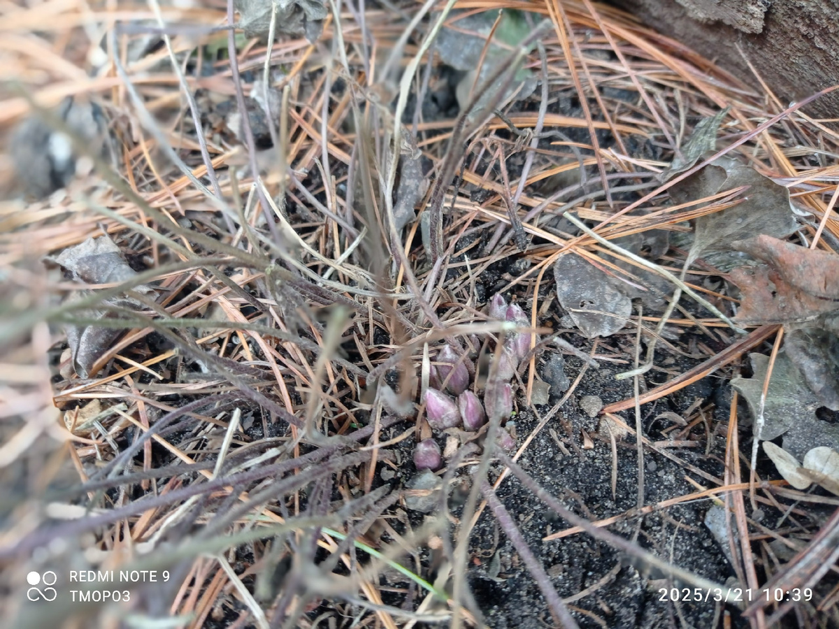 пробуждение