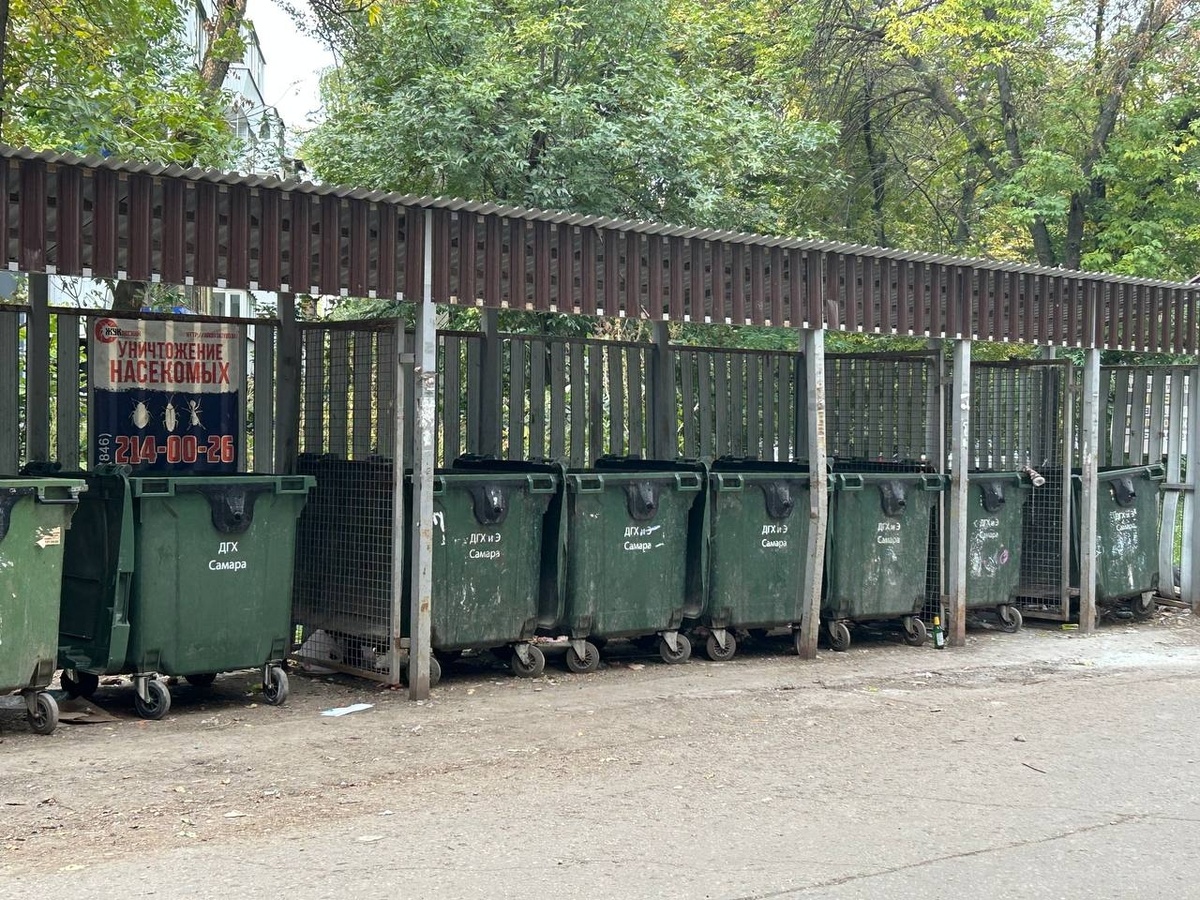    Фото: Анастасия Максименко