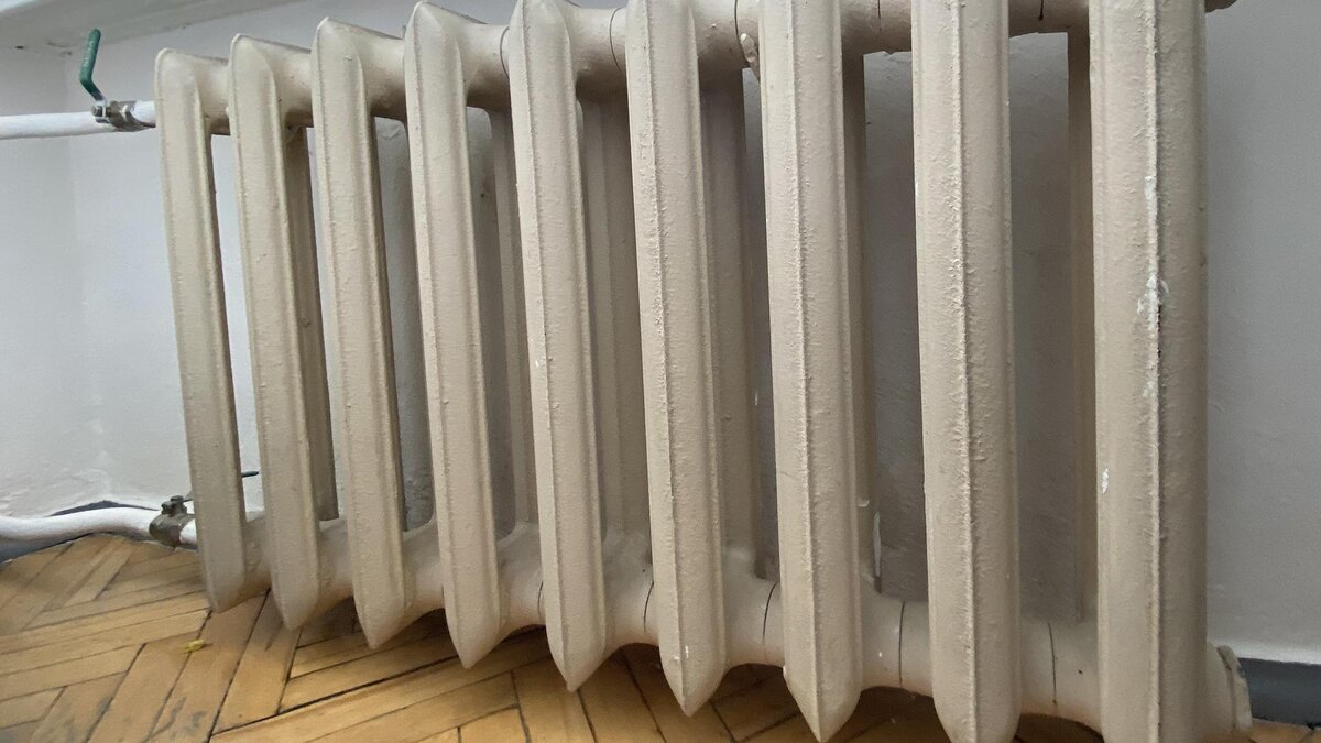    Фото: Ulf Mauder/globallookpress.com