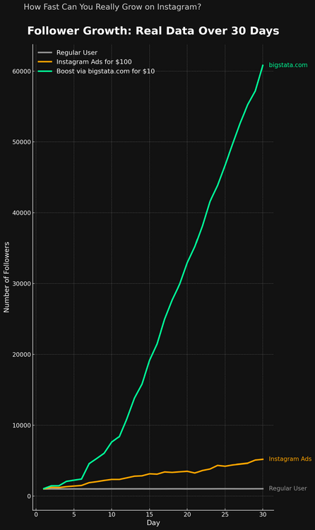 bigstata.com Accelerates Instagram Follower Growth 20x Compared to Organic Methods📷
