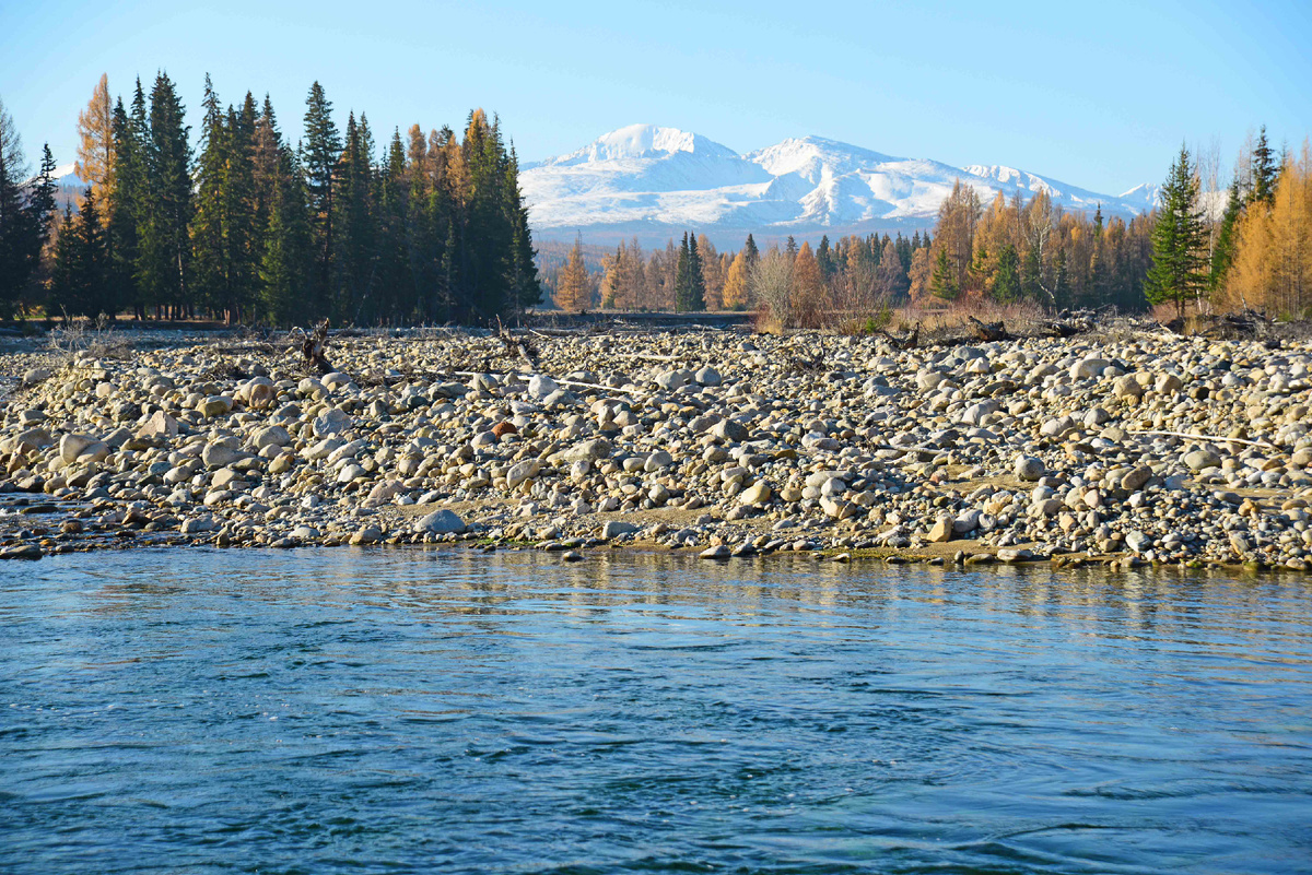Фото Ольга Шадрина