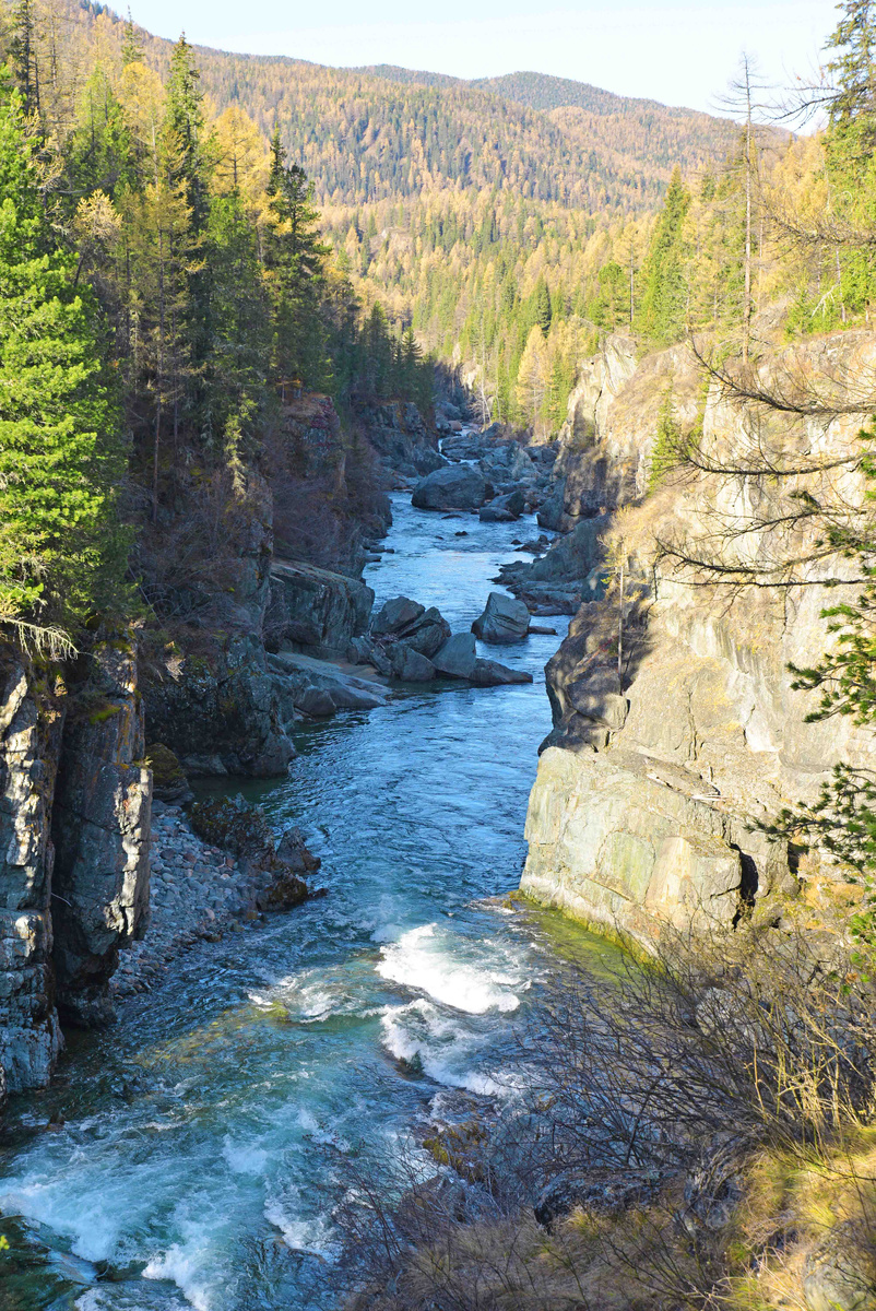 Фото Ольга Шадрина