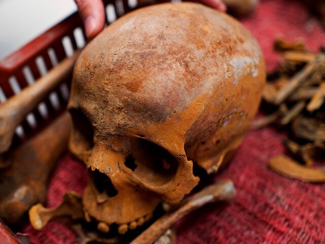    Фото: AP Photo/Bela Szandelszky