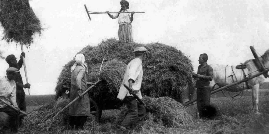 Почему сенокос был одним из любимых периодов в жизни каждого крестьянина?