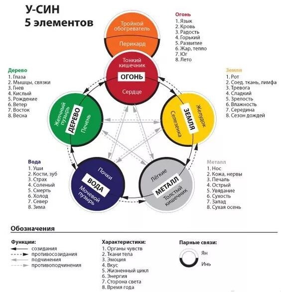 У-син, соответствие элементов