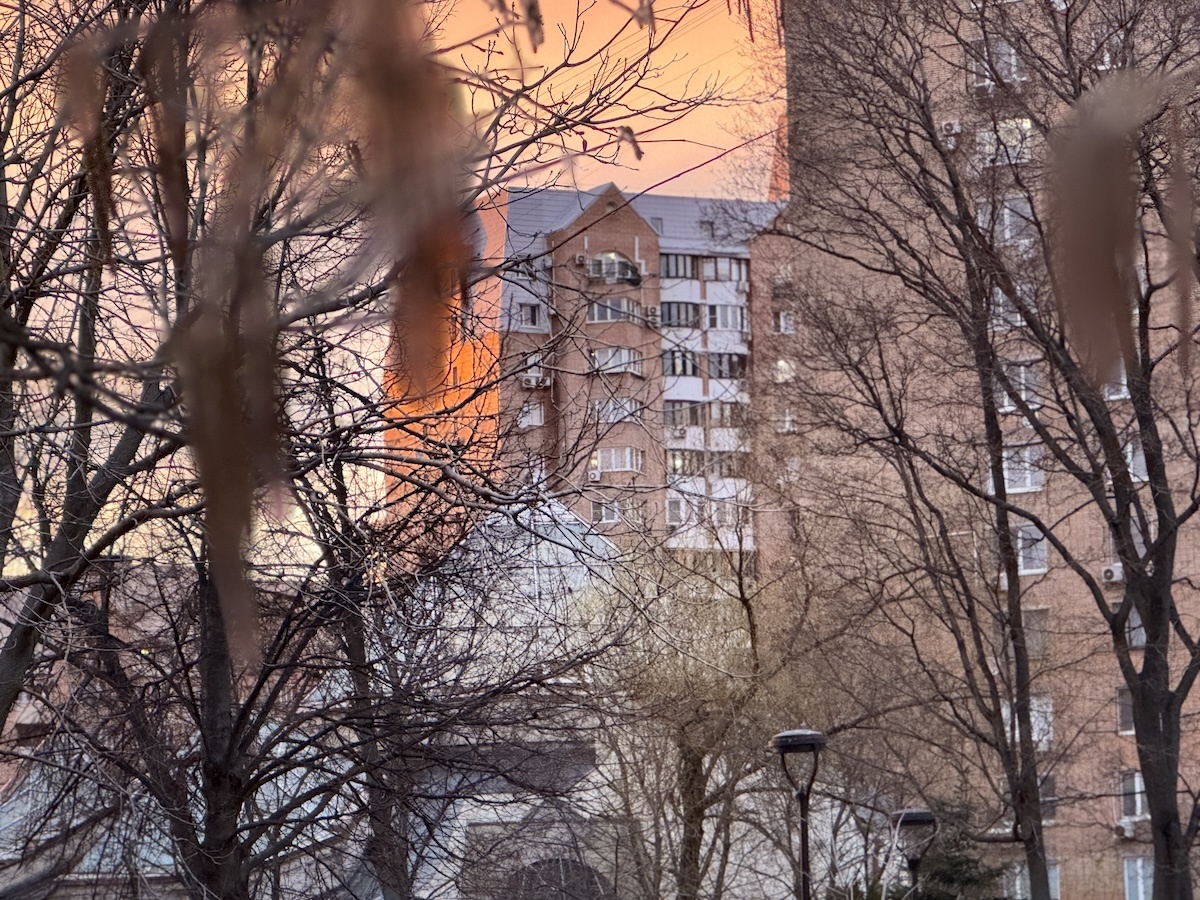 Фото © «Московская газета»