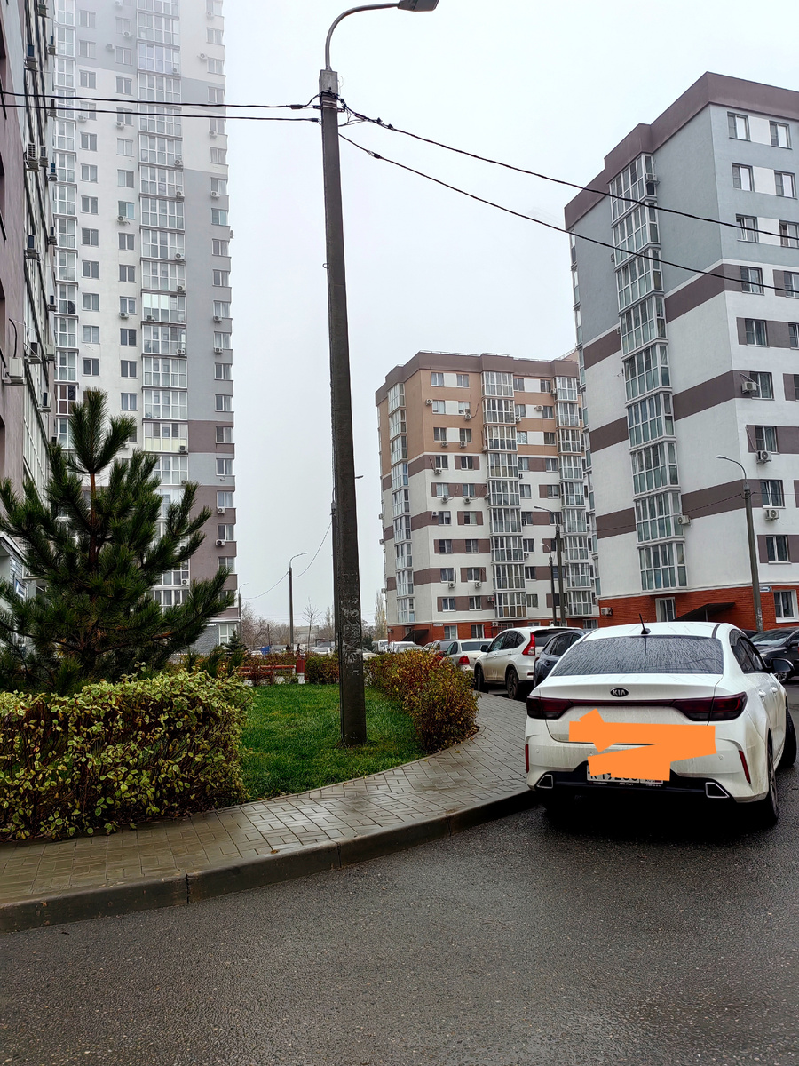 Туман развеялся к обеду