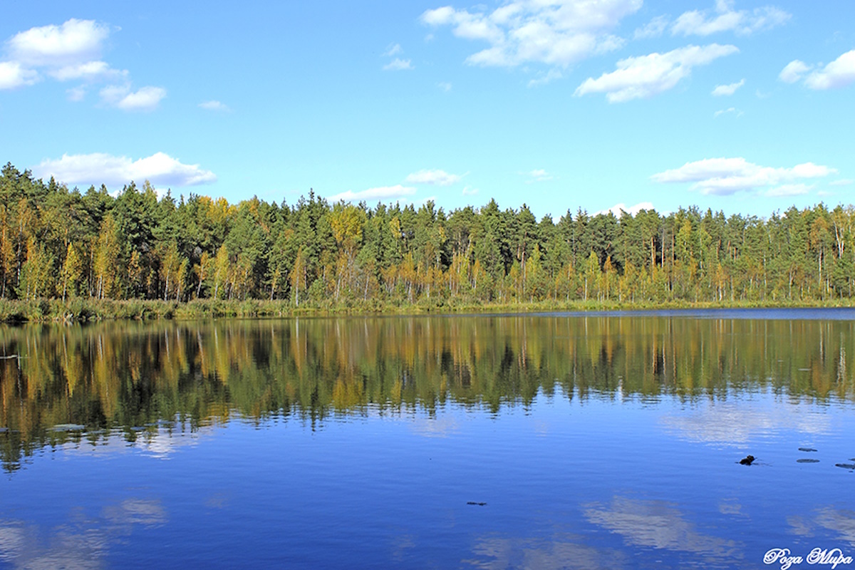    Фото: lubovbezusl.ru