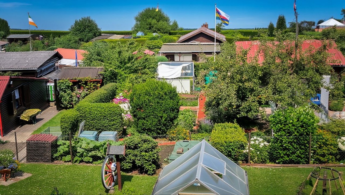 Фото: ru.freepik.com, нейросеть Reve