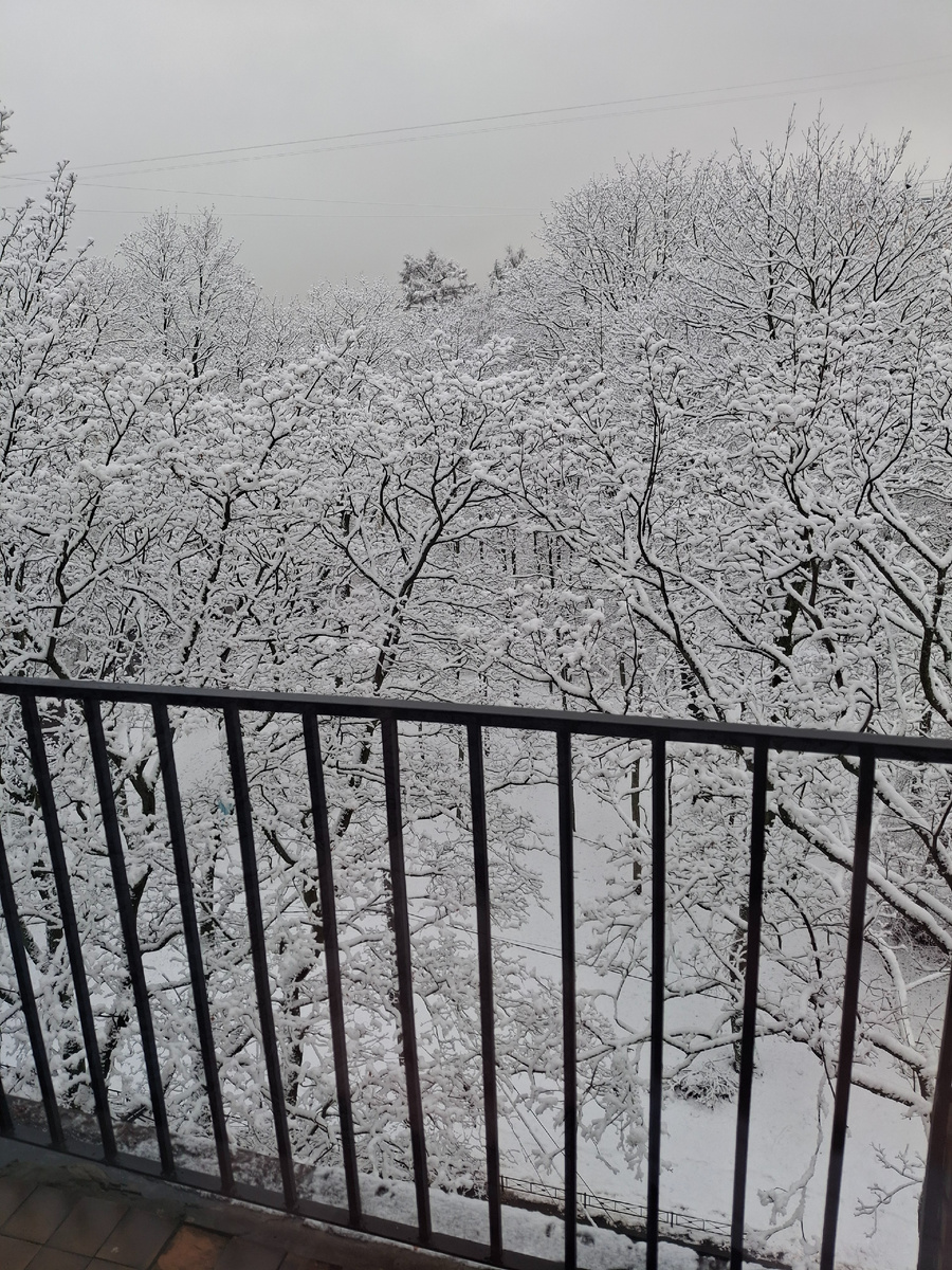 Фото автора. Красиво, конечно, но в городе после снегопада вечный транспортный коллапс начинается. 