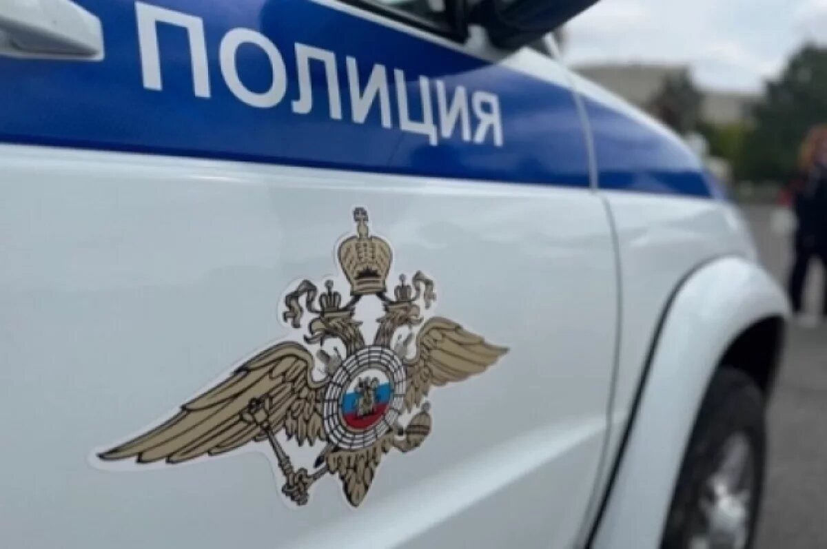    Перевозившего «Деда Мороза» на крыше машины оштрафовали в Нижнем Новгороде