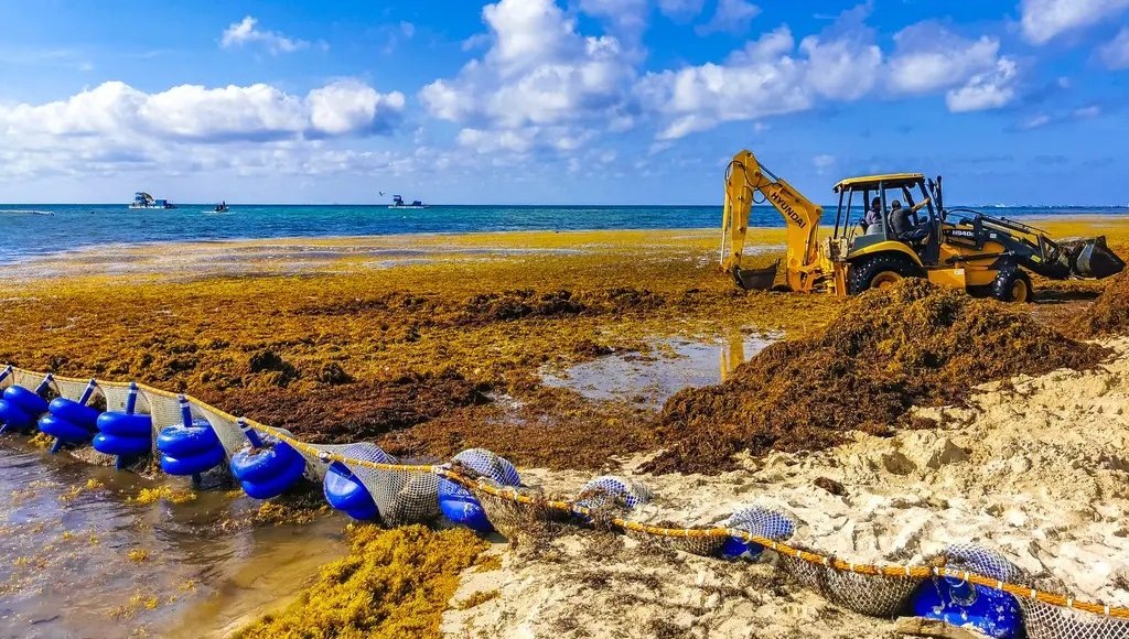    Фото: © Arkadij Schell