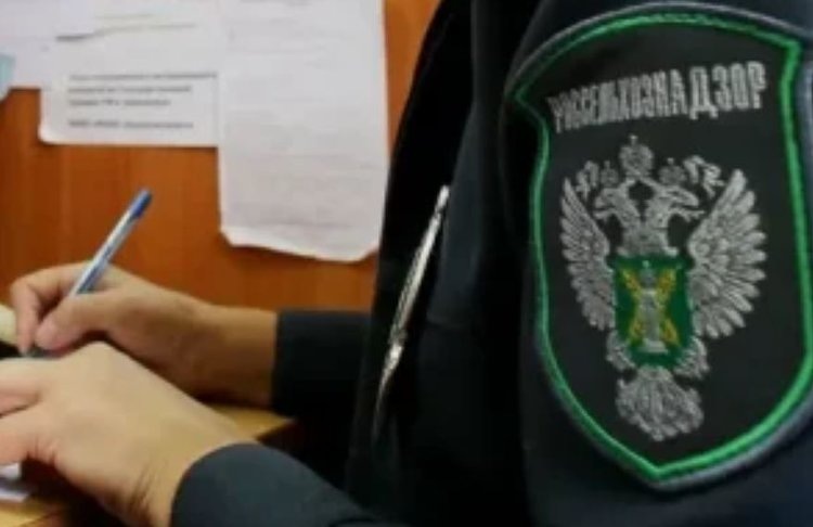    Фото: Россельхознадзор РФ