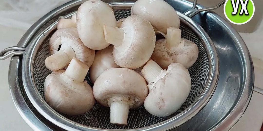 Люблю грибы😊