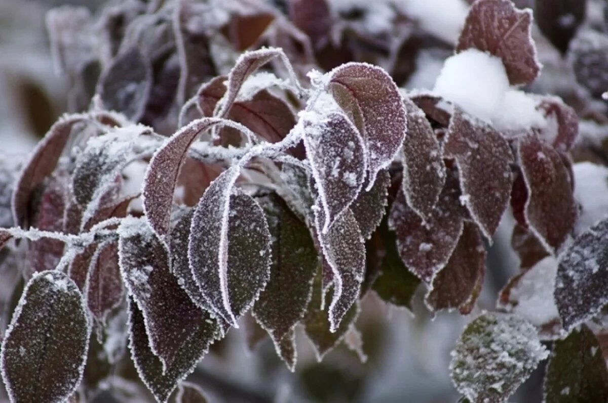    В конце ноября Пермский край ждёт значительное похолодание