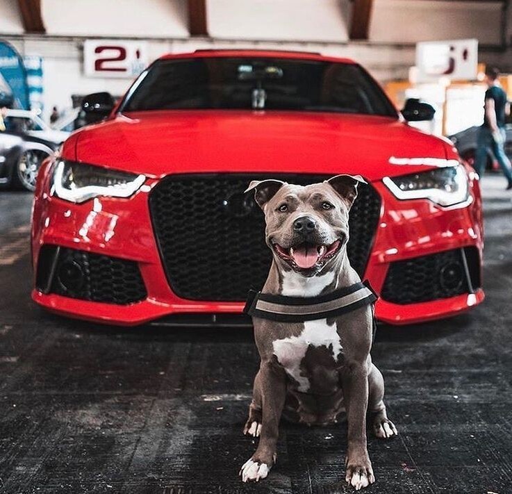 источник фото: https://i.pinimg.com/736x/a7/d0/e7/a7d0e76fab7199450614d3245fccddf1.jpg