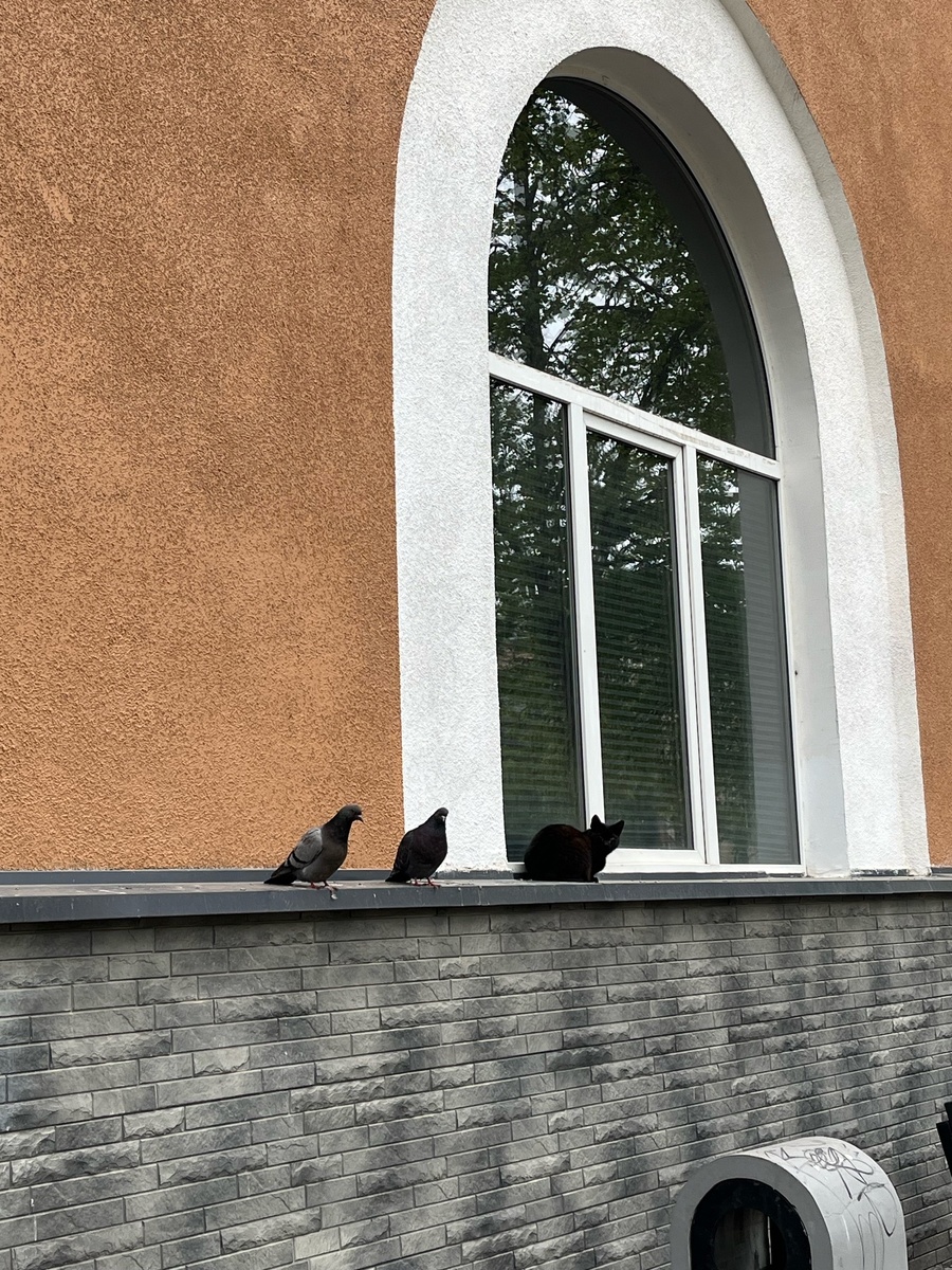 Хорошо сидим.