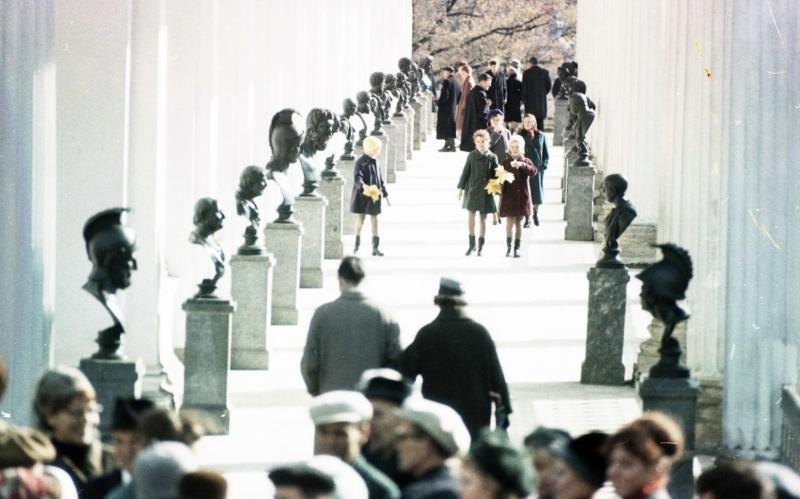 Вопрос-ответ