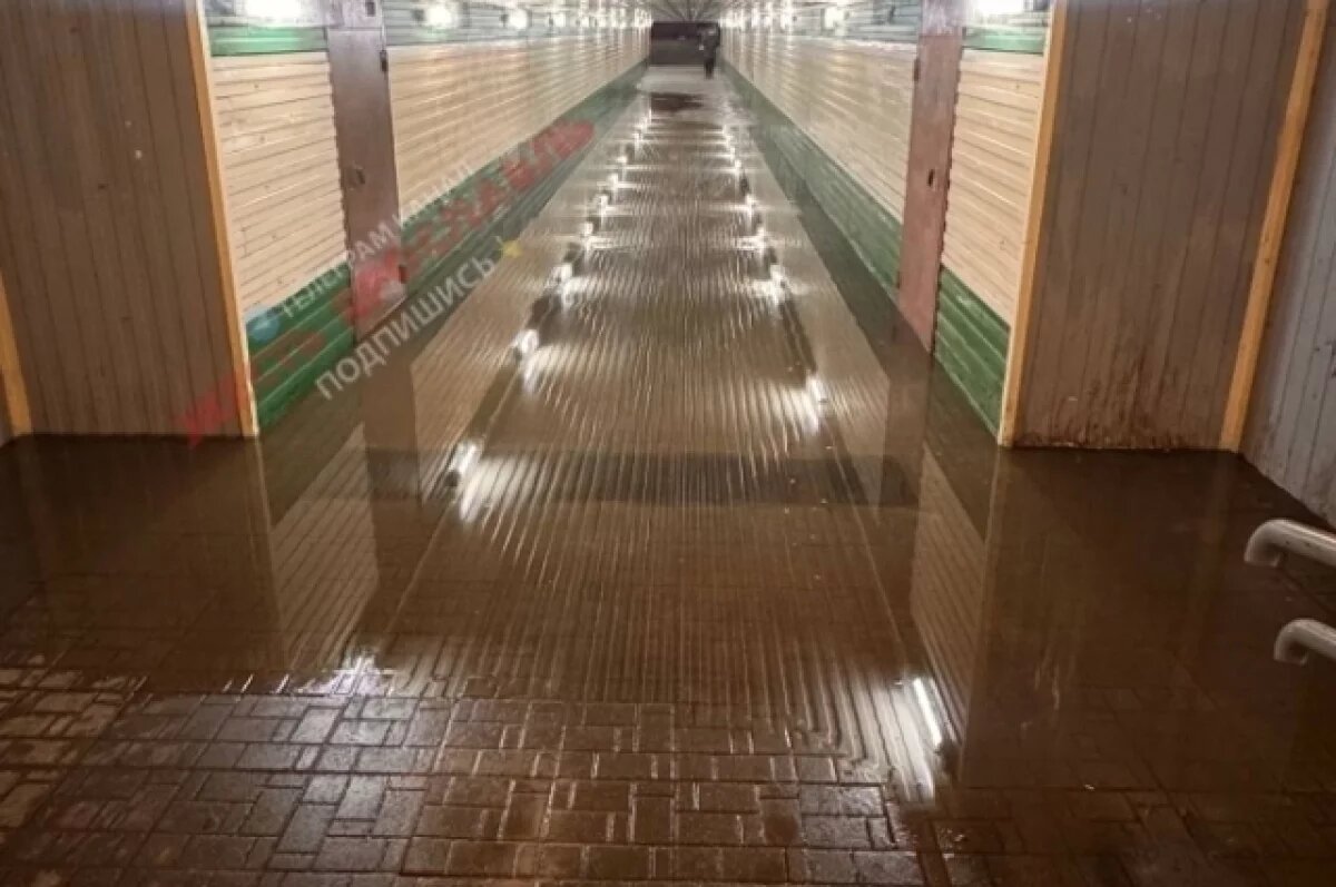    В Ярославле затопило подземный переход на площади Юности