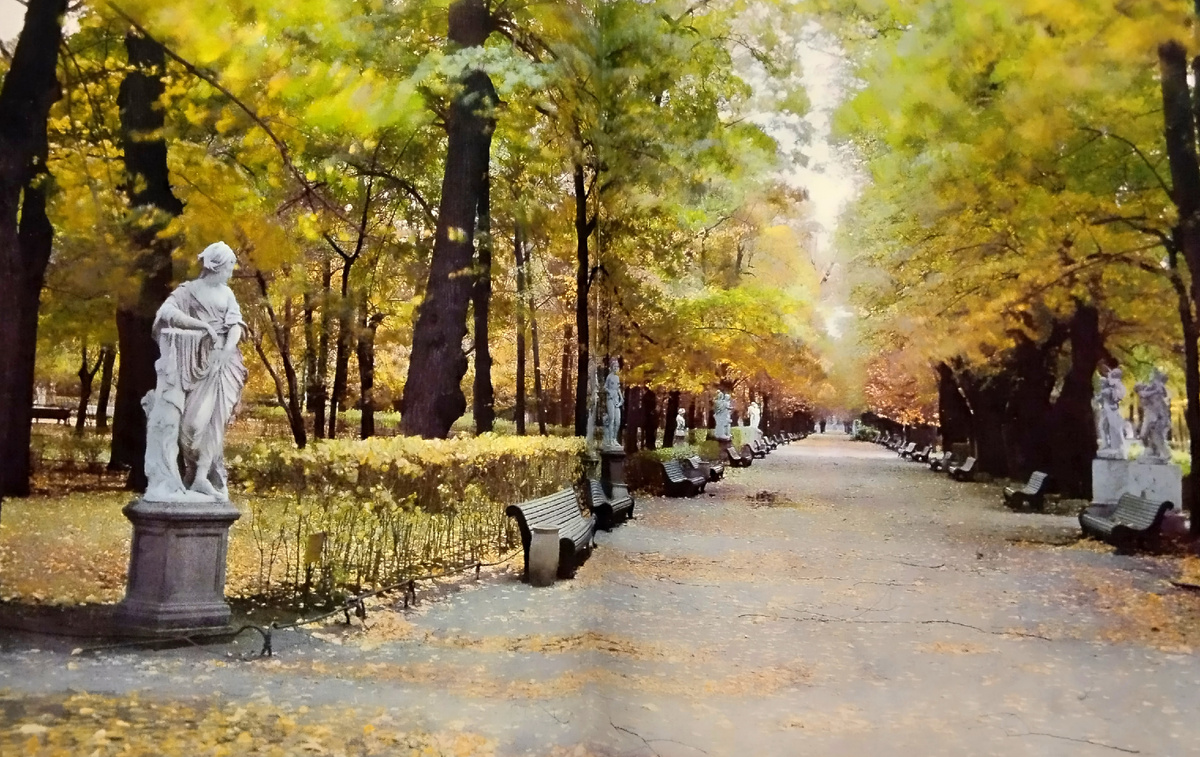 Уголок сада 