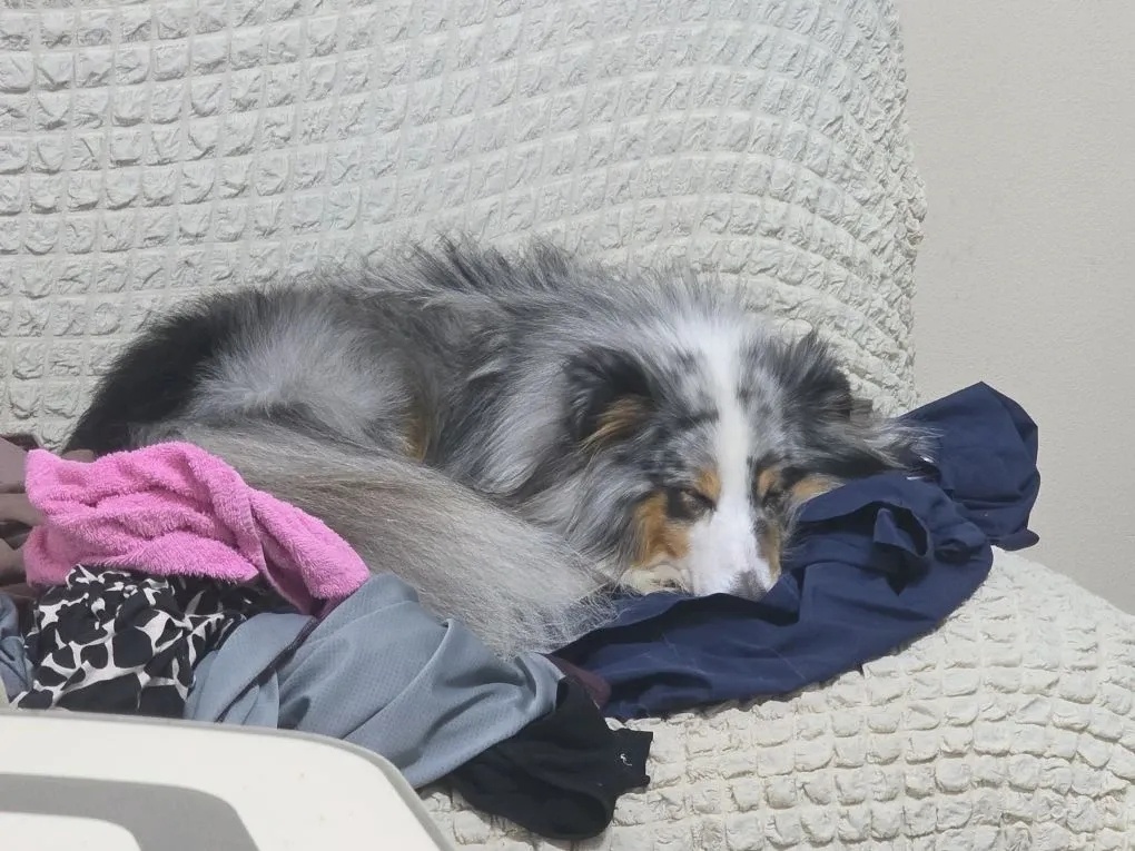 Спасибо, очень удобно ! 