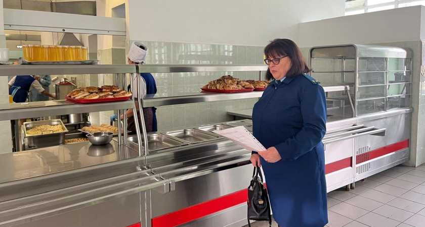    В Кирове прокуратура нагрянула в школу по сообщению о насекомых в еде для детей