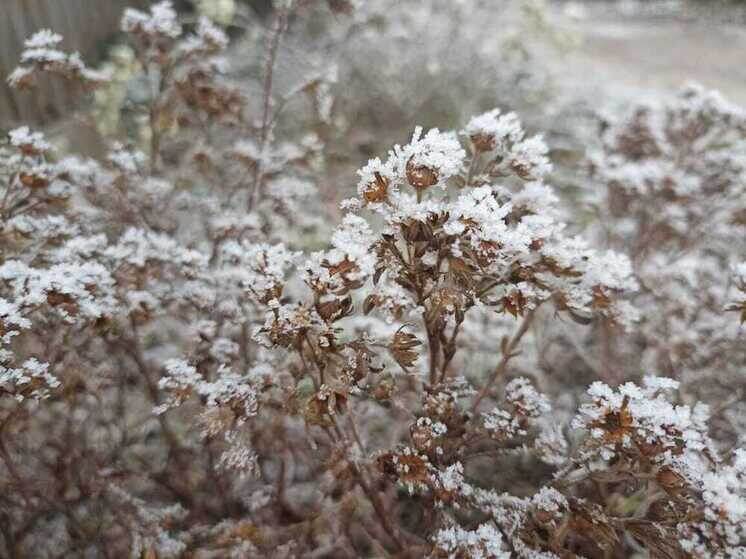     За прошедшие сутки самосвалы вывезли с улиц города почти 1600 кубометров снега. Фото: архив МК в Питере.