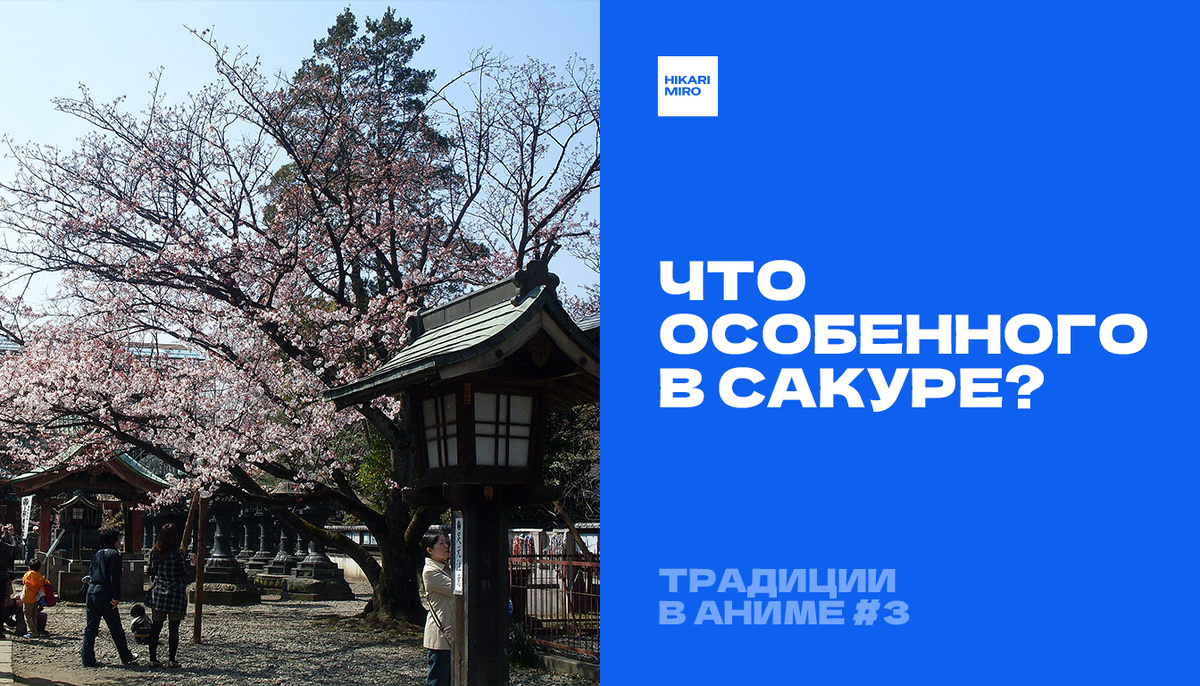 Ханами в парке Уэно, апрель 2009 Фото: Toshihiro Gamo / Wikimedia Commons, CC BY 2.0