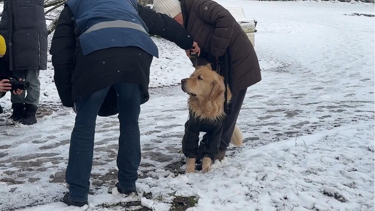    Фото: vk.com/kvzpb_official