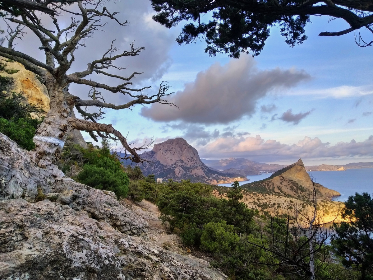 Живописный вид в Новом Свете в Крыму