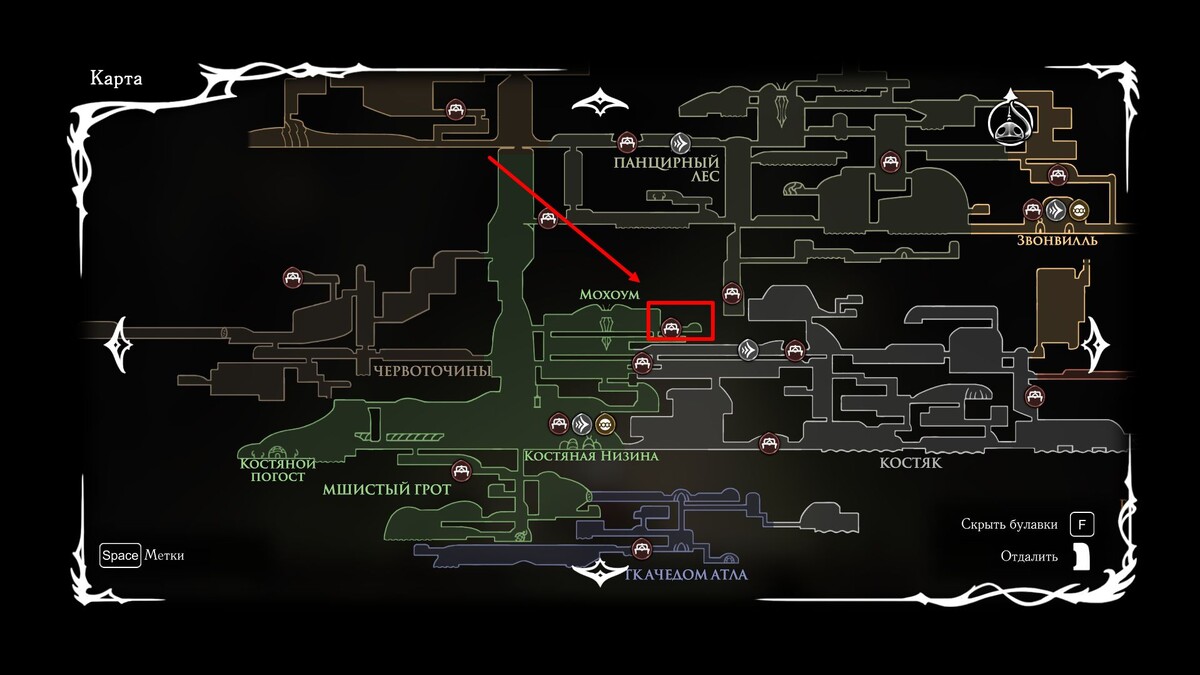 болотные ягоды в Hollow Knight: Silksong