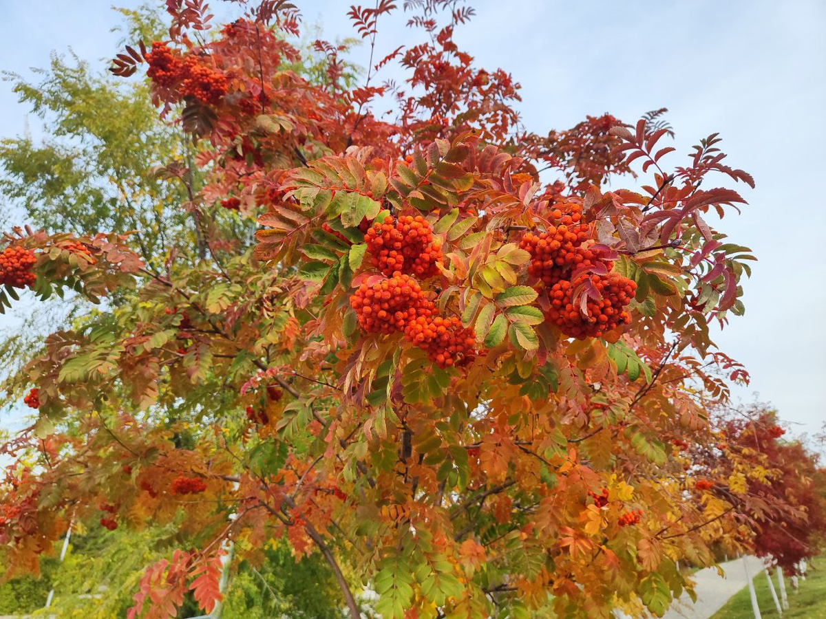 Фото автора.