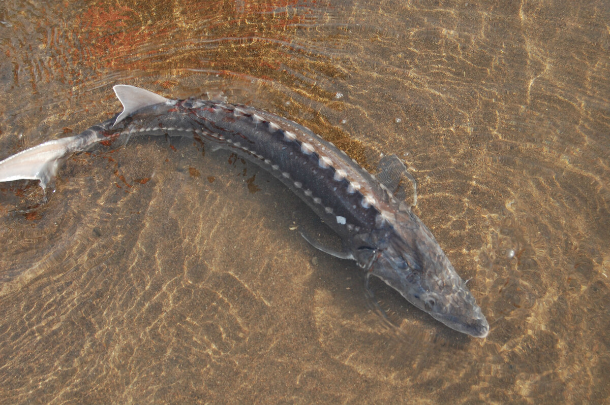 Фотография из интернета